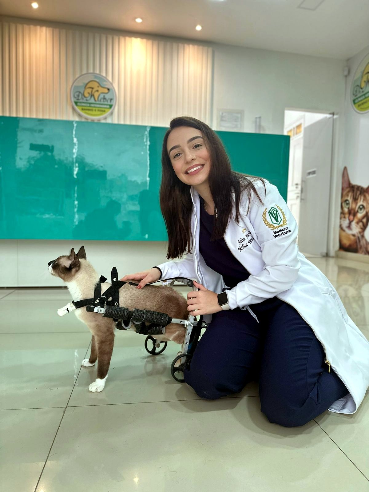 Atendimento veterinário com gato