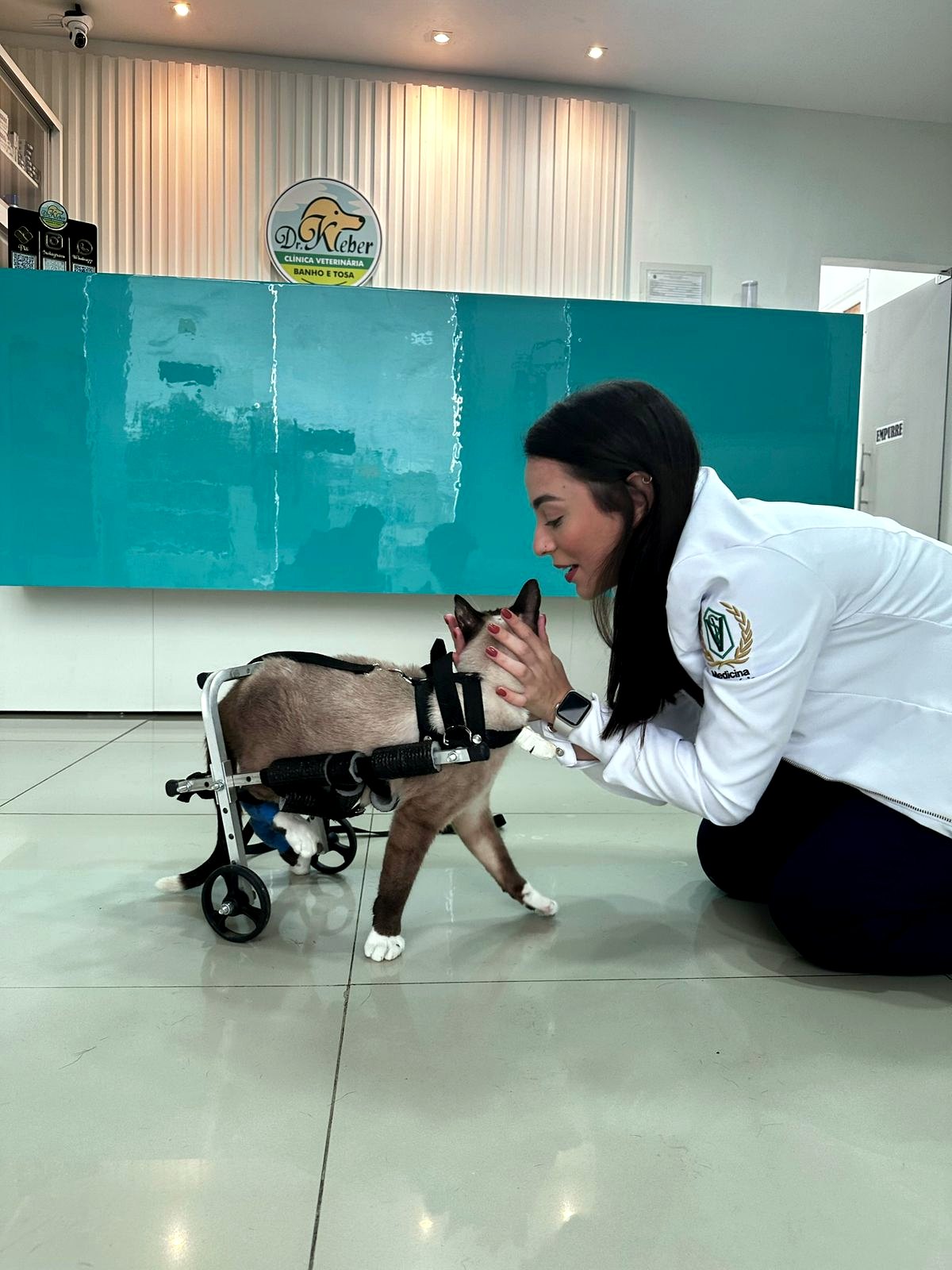 Veterinária cuidando de gato