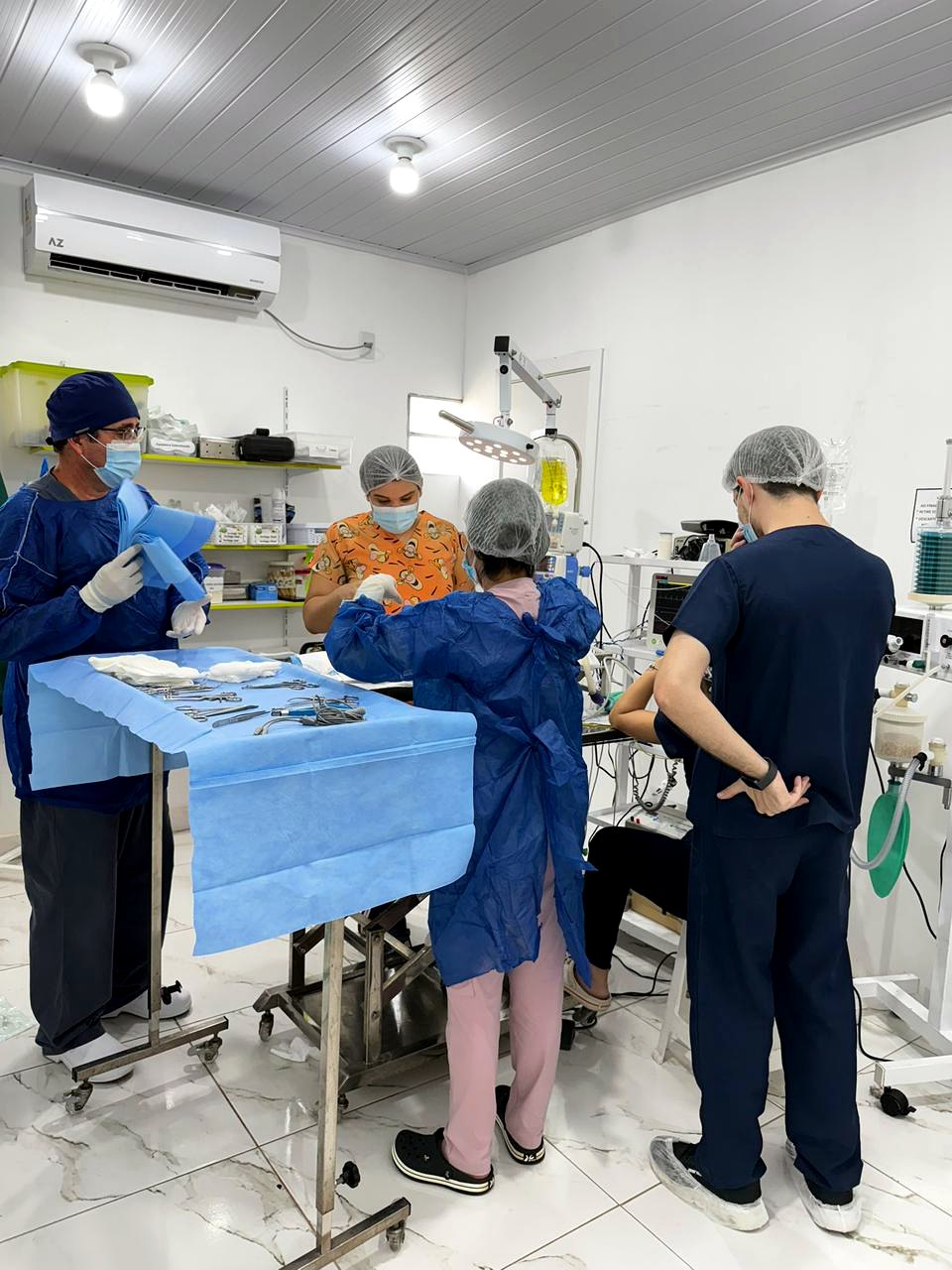 Centro cirúrgico veterinário