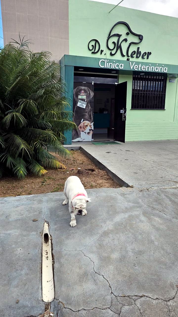 Fachada da clínica com pet