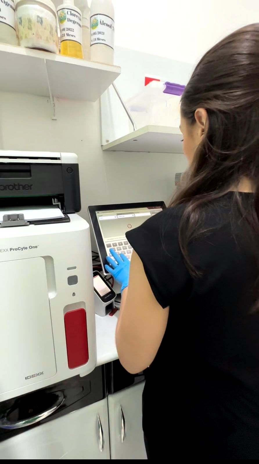 Laboratório veterinário com equipamento IDEXX